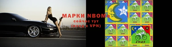 крисы Слюдянка