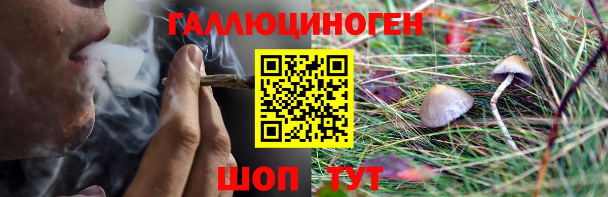 Дятьково  наркота  Вход с VPN  Галлюциногенные грибы мухоморы 